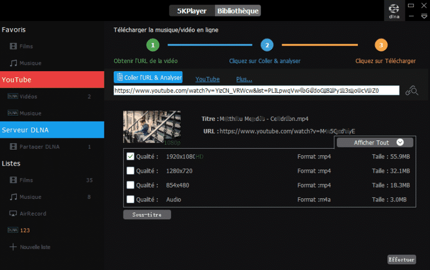 Playlists YouTube Comment les télécharger et les convertir en MP3