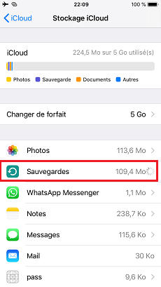 Sauvegardes stockage iCloud