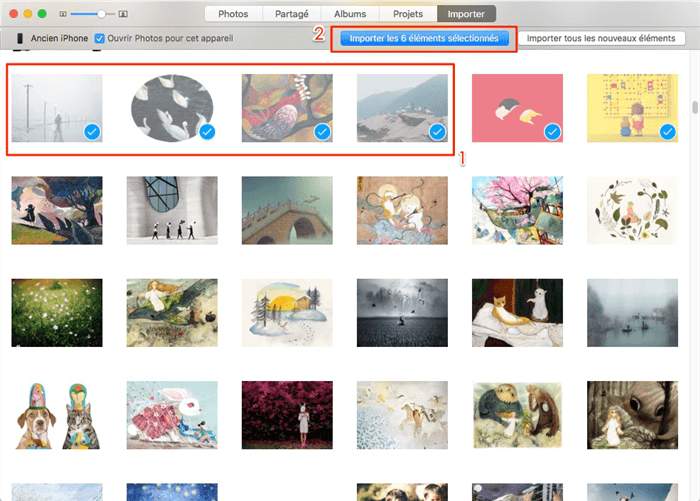 Importer des albums photo iPhone sur Mac