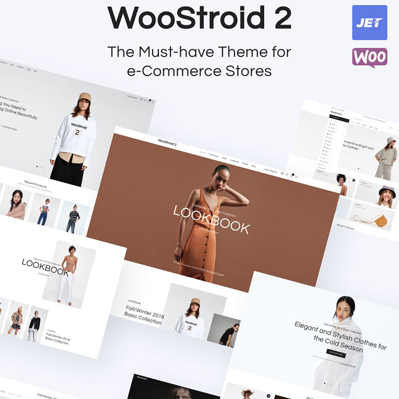 Thème WooCommerce WooStroid 2