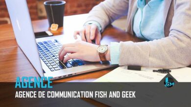 Agence Fish and Geek - Journal du Community Manager - journalducm.com