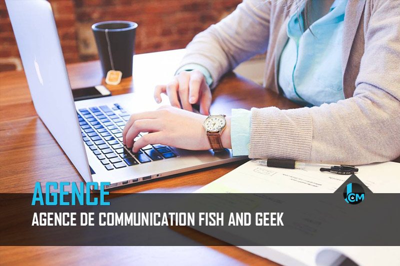 Agence Fish and Geek - Journal du Community Manager - journalducm.com