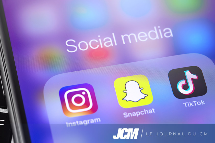 Application TikTok et formats publicitaires