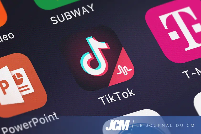 Quelques données sur TikTok