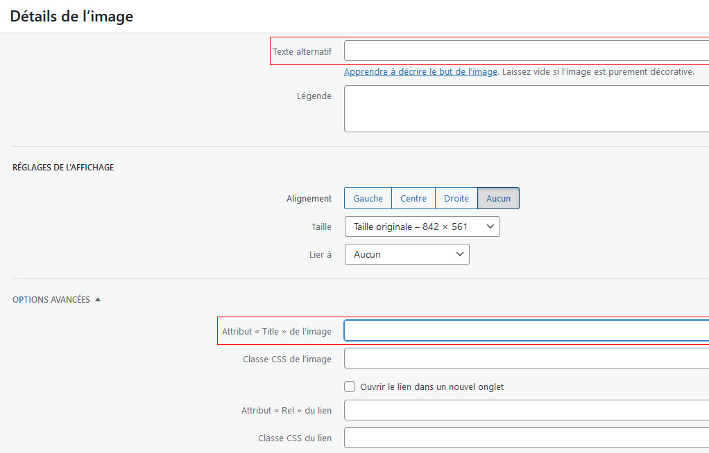 Optimisation des images en SEO