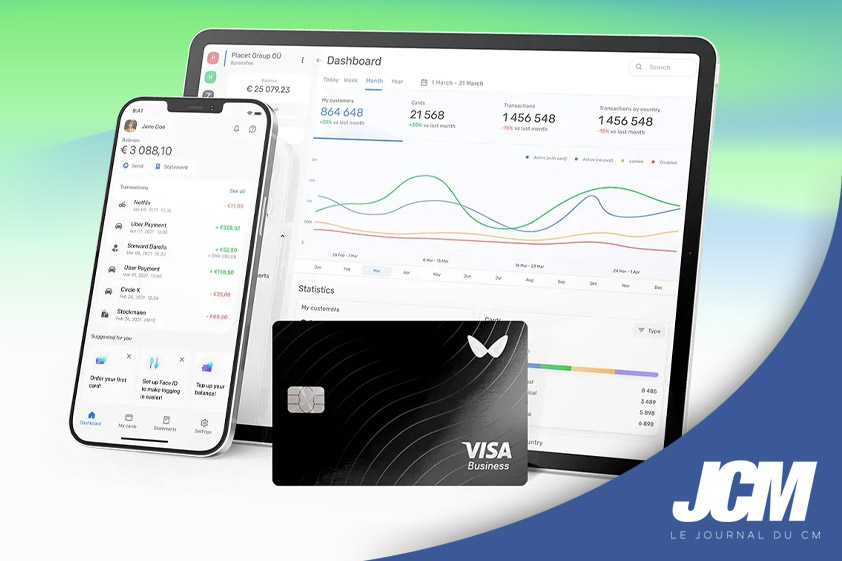 Carte Visa Wallester pour vos paiements professionnels