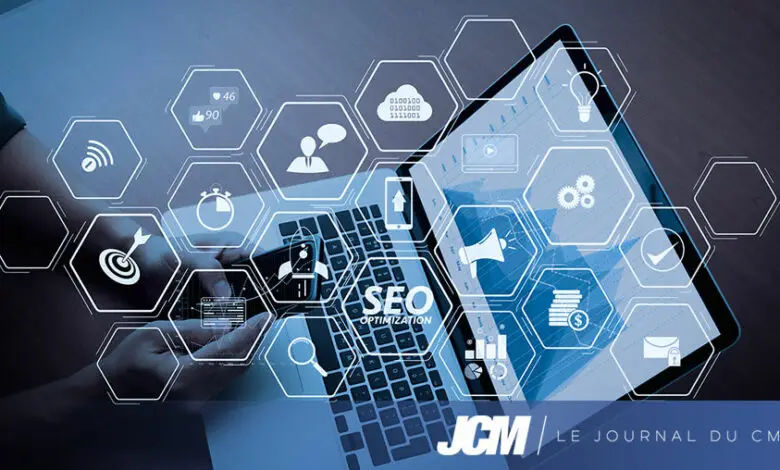 Expert SEO,Référenceur SEO,SEO