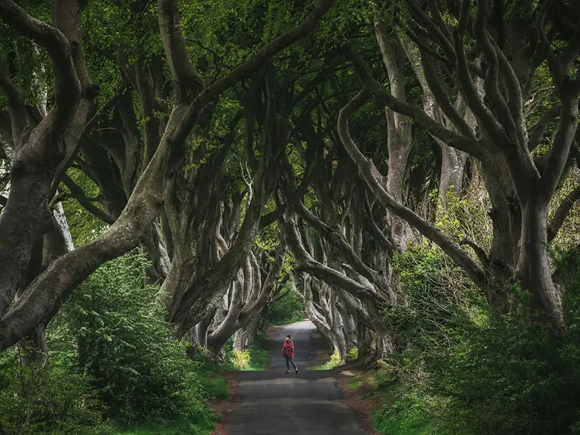 Redécouvrir la Nature 