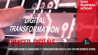 Formation Transformation Digitale Mastère emlyon