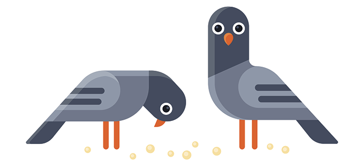 SEO Local : Google Pigeon