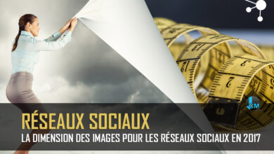 réseaux sociaux