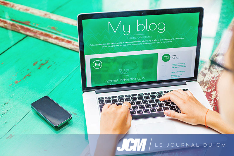 Blogueur professionnel en terme de qualité de travail  