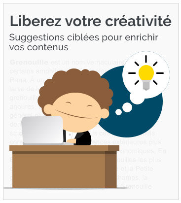 optimiser contenu,Positionnement Google