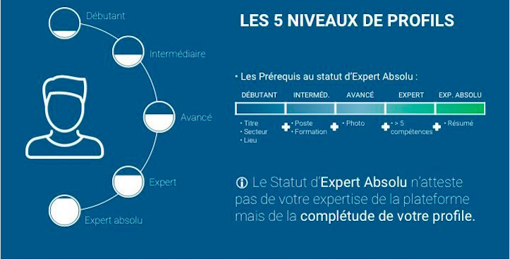 Les 5 niveaux de Profil Linkedin : Statut expert absolu