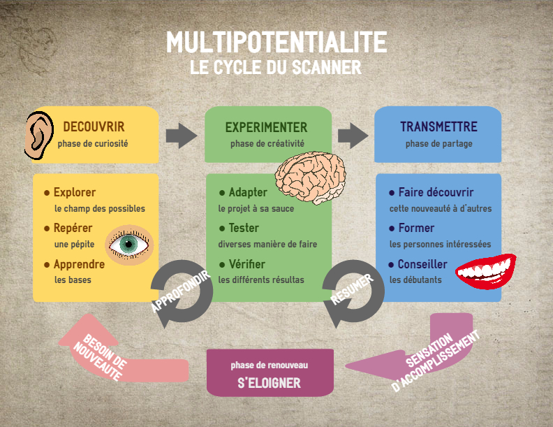 Le cycle de la multipotentialité 