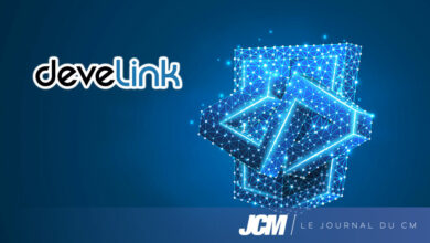 Plateforme de netlinking Develink