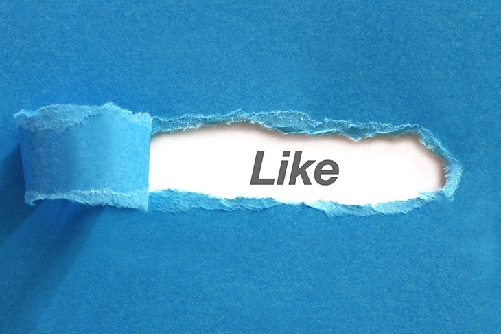 Like Facebook chez les blogueurs influenceurs ou blogueuses influenceuses