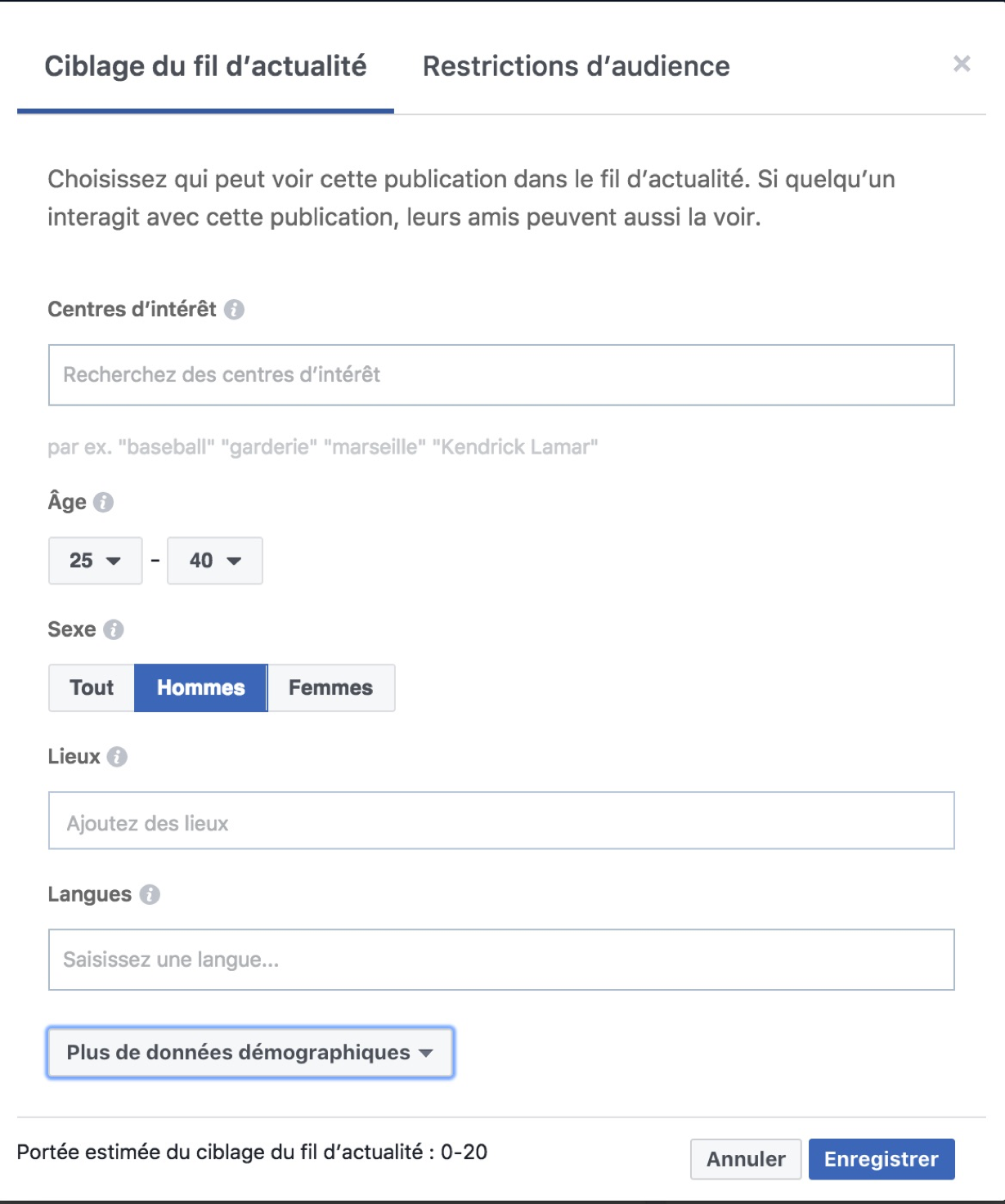 fonctionnalités des pages Facebook : Audience