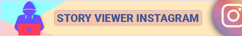 Instagram Story Viewer