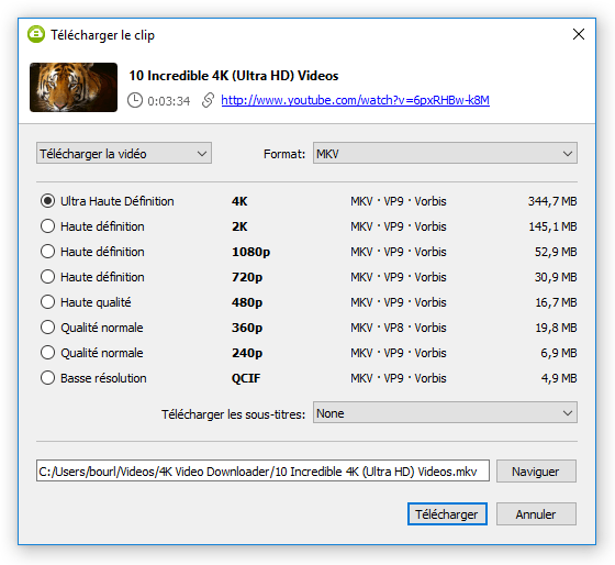 4K Video Downloader