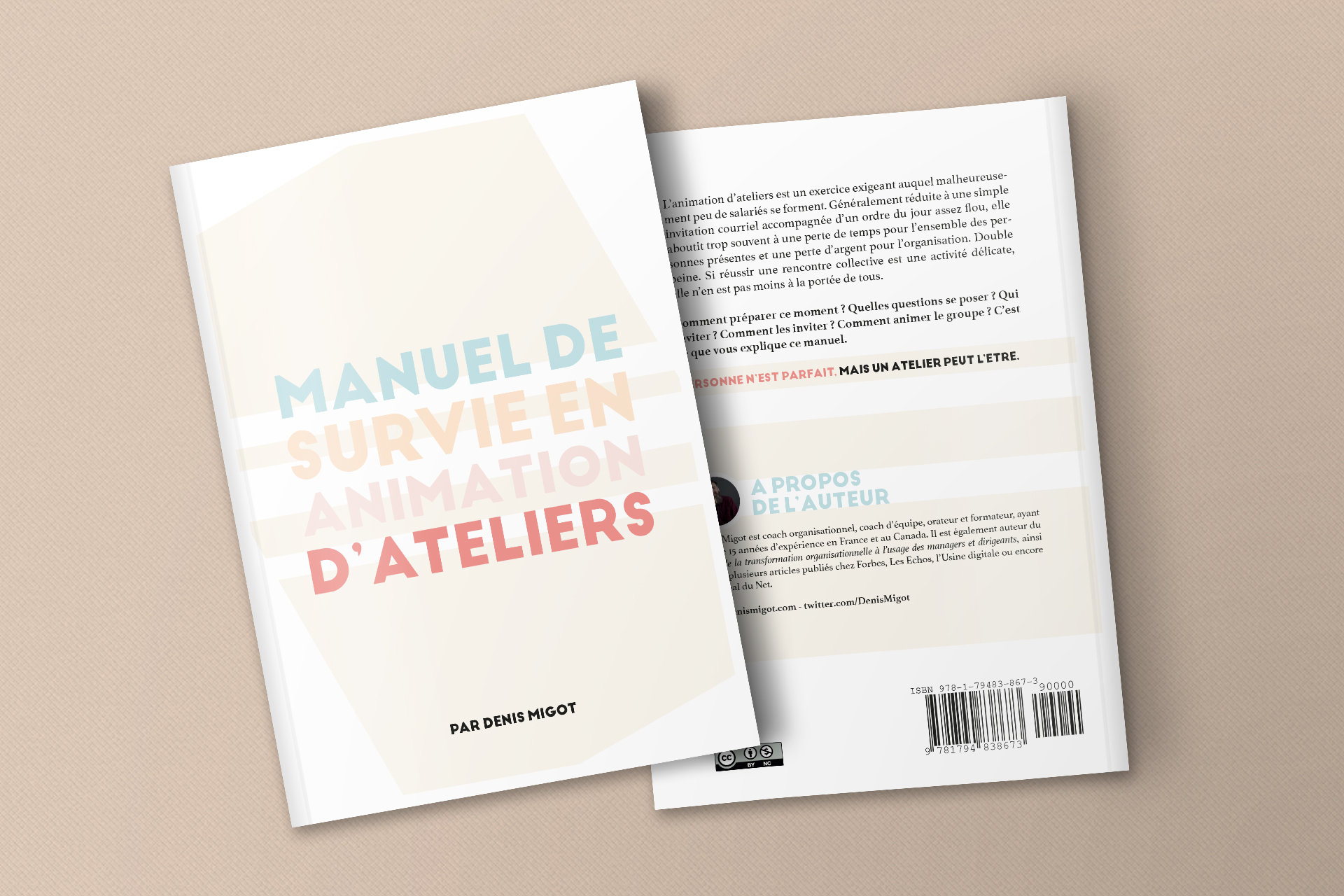 « Manuel de survie en animation d’ateliers ? » de Denis Migot