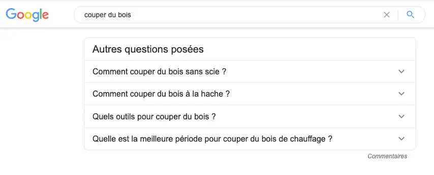 Résultats People Also Ask Google