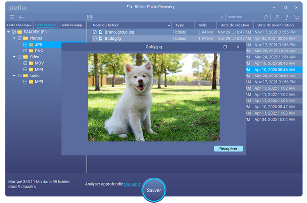 photos supprimées,Stellar Photo Recovery